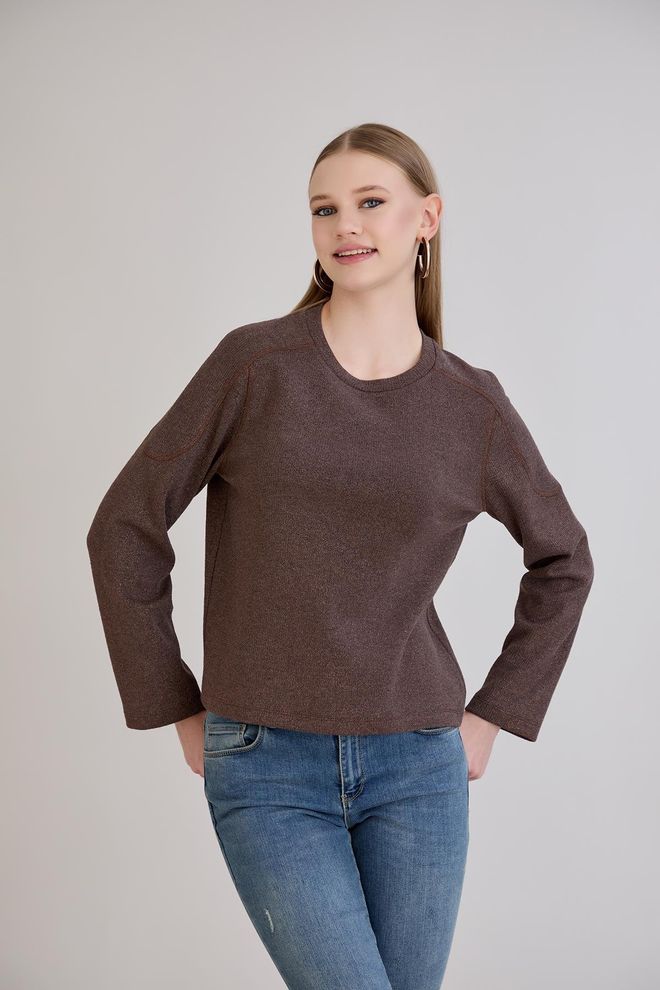 Sortie Collection Brown Sweater With Round Neck For Casual And Elegant Wear Wholesale Clothing Spring