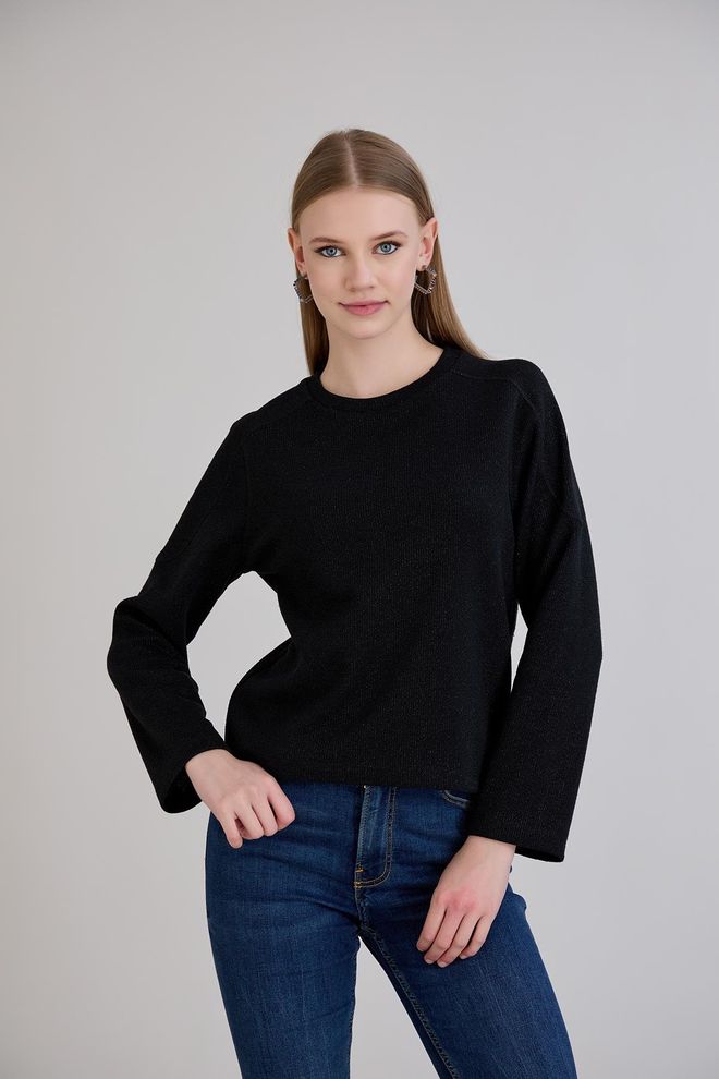 Sortie Collection Schwarz Lässiger Eleganter Pullover Für Arbeit & Party Großhandelskleidung Lässig