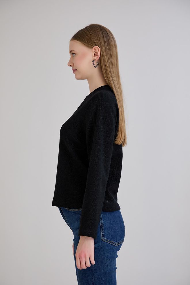 Sortie Collection Black Casual Elegant Sweater For Work & Party Wholesale Clothing 5