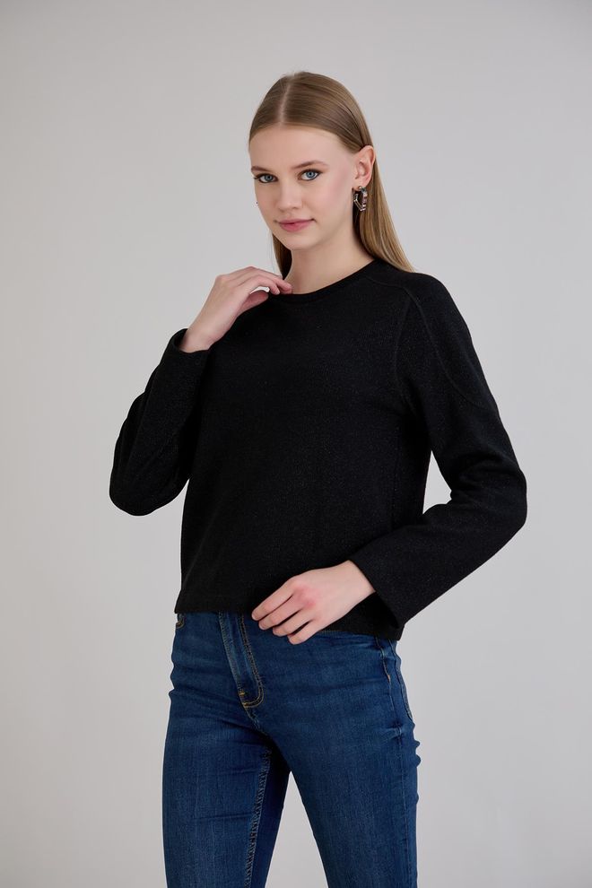 Sortie Collection Black Casual Elegant Sweater For Work & Party Wholesale Clothing 1