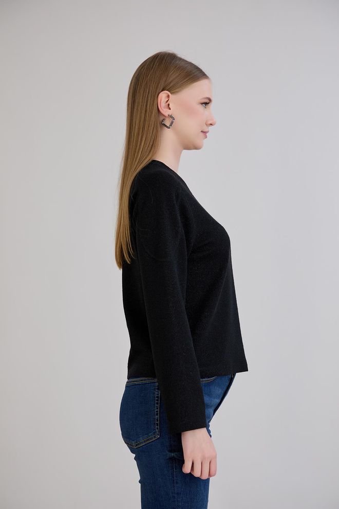 Sortie Collection Black Casual Elegant Sweater For Work & Party Wholesale Clothing Elegant