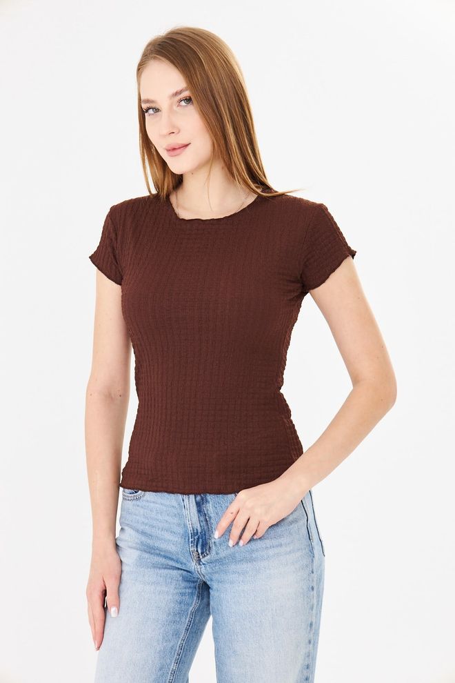 Sortie Collection Brown Casual Slim Fit Crew Neck Tshirt Wholesale Clothing 1