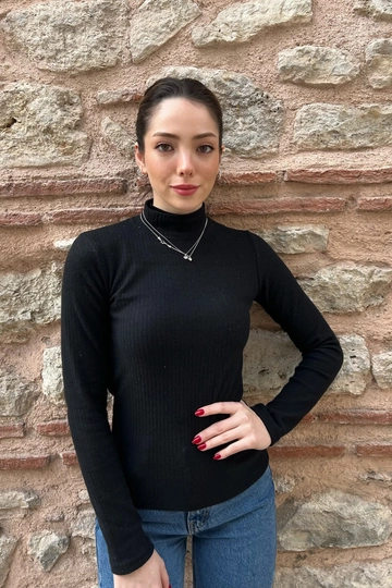 A wholesale clothing model wears  Half Turtleneck Ribbed Sweater
, Turkish wholesale Blouse of la & vetta
